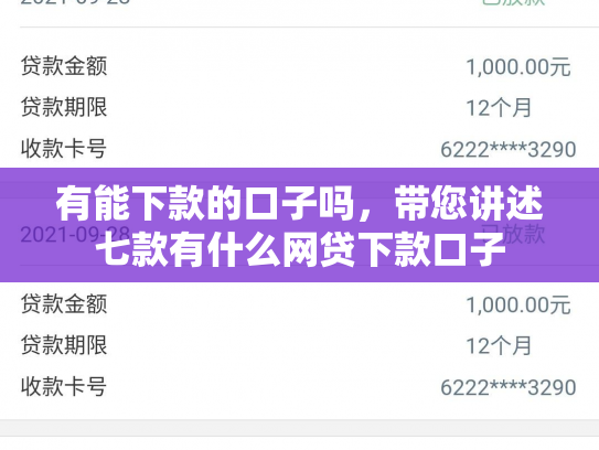 有能下款的口子吗，带您讲述七款有什么网贷下款口子