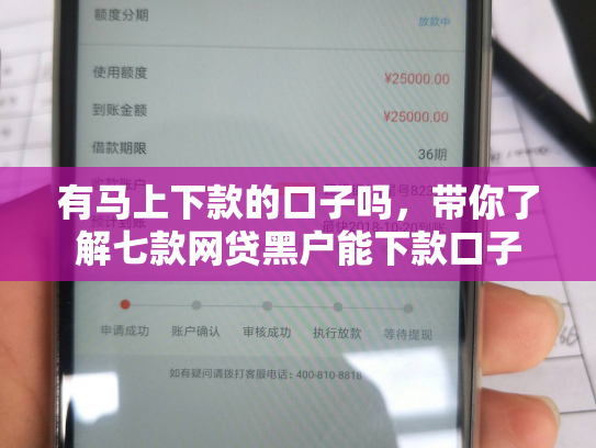 有马上下款的口子吗，带你了解七款网贷黑户能下款口子