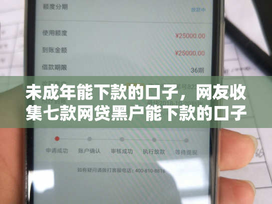 未成年能下款的口子，网友收集七款网贷黑户能下款的口子