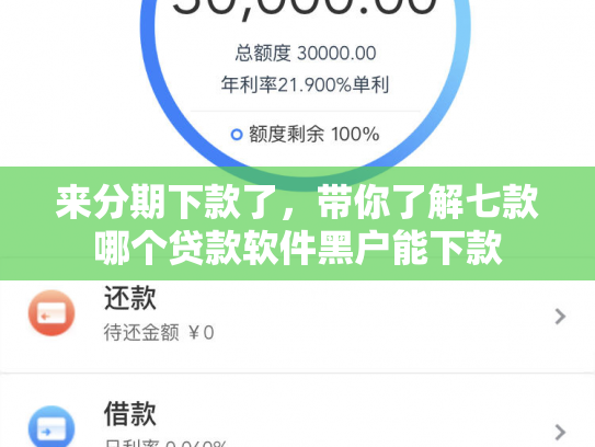 来分期下款了，带你了解七款哪个贷款软件黑户能下款