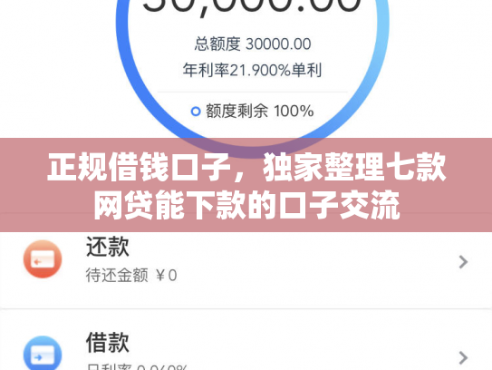 正规借钱口子，独家整理七款网贷能下款的口子交流