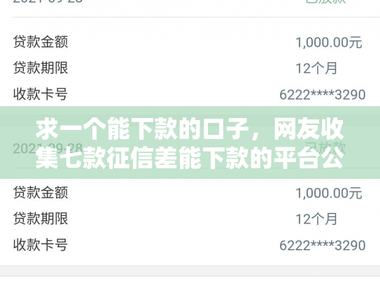 求一个能下款的口子，网友收集七款征信差能下款的平台公司
