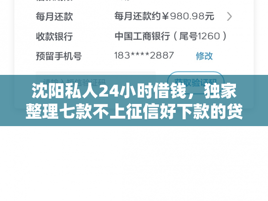 沈阳私人24小时借钱，独家整理七款不上征信好下款的贷款