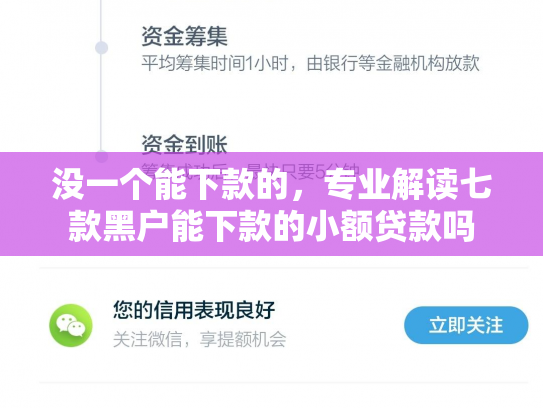 没一个能下款的，专业解读七款黑户能下款的小额贷款吗