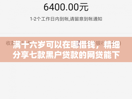 满十六岁可以在哪借钱，精细分享七款黑户贷款的网贷能下款吗