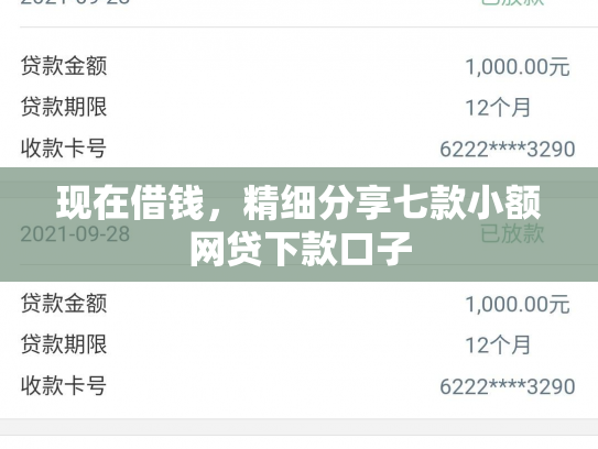 现在借钱，精细分享七款小额网贷下款口子