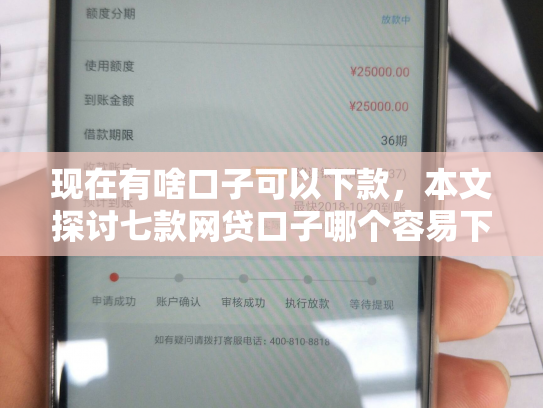 现在有啥口子可以下款，本文探讨七款网贷口子哪个容易下款