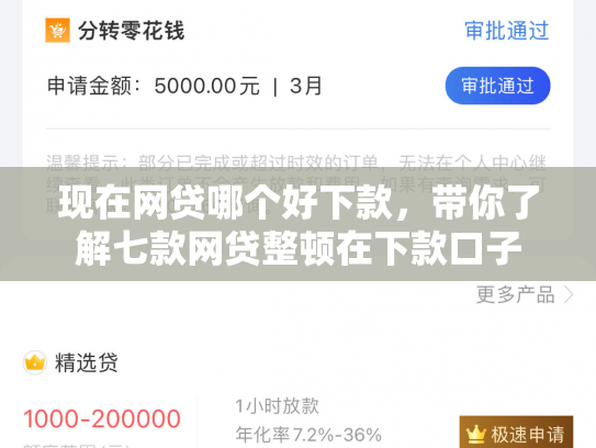 现在网贷哪个好下款，带你了解七款网贷整顿在下款口子