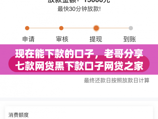 现在能下款的口子，老哥分享七款网贷黑下款口子网贷之家