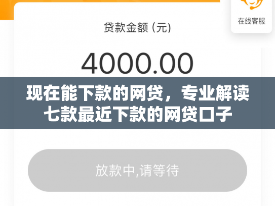 现在能下款的网贷，专业解读七款最近下款的网贷口子