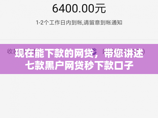 现在能下款的网贷，带您讲述七款黑户网贷秒下款口子