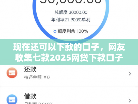 现在还可以下款的口子，网友收集七款2025网贷下款口子