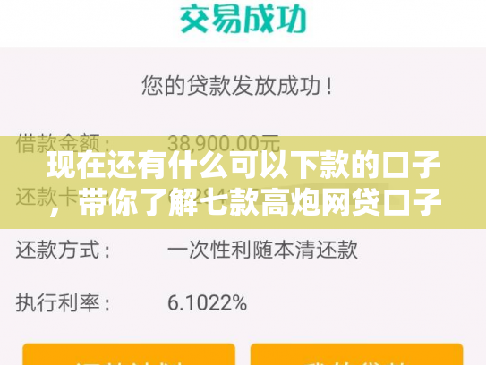现在还有什么可以下款的口子，带你了解七款高炮网贷口子下款