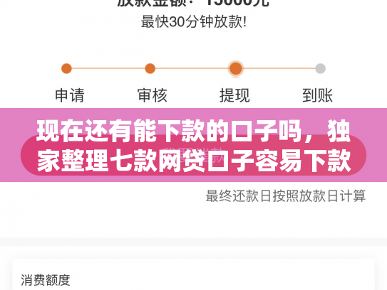现在还有能下款的口子吗，独家整理七款网贷口子容易下款