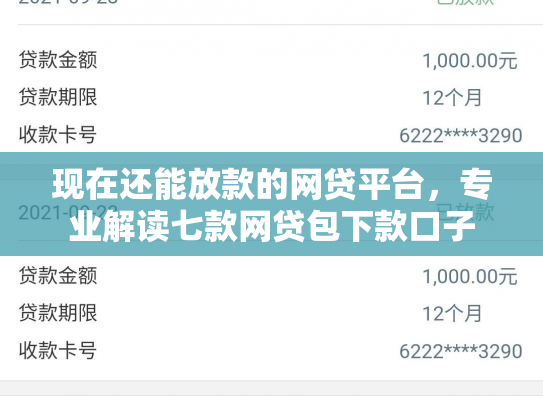 现在还能放款的网贷平台，专业解读七款网贷包下款口子