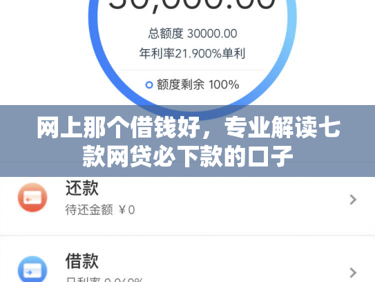 网上那个借钱好，专业解读七款网贷必下款的口子