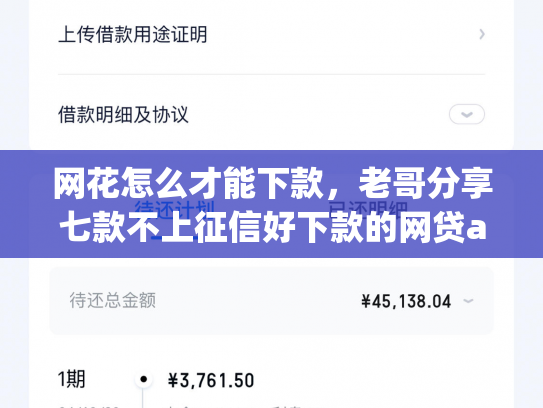 网花怎么才能下款，老哥分享七款不上征信好下款的网贷app