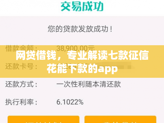 网贷借钱，专业解读七款征信花能下款的app