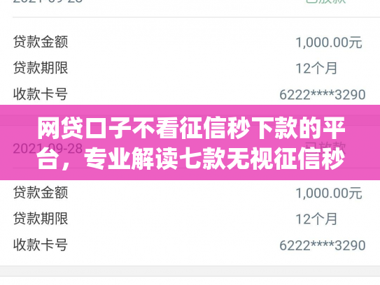 网贷口子不看征信秒下款的平台，专业解读七款无视征信秒下款的app
