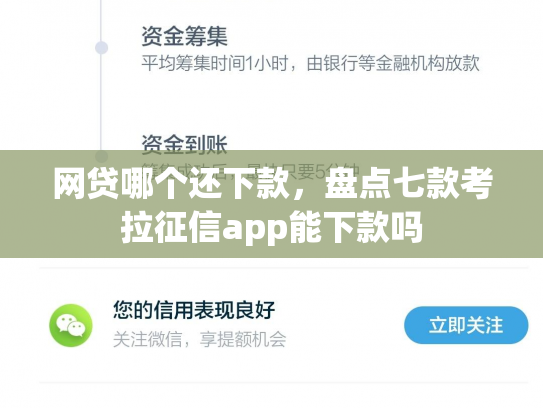 网贷哪个还下款，盘点七款考拉征信app能下款吗