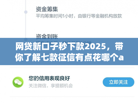 网贷新口子秒下款2025，带你了解七款征信有点花哪个app可以下款