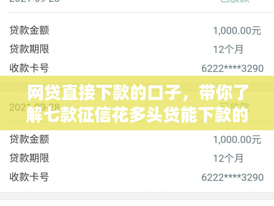 网贷直接下款的口子，带你了解七款征信花多头贷能下款的app
