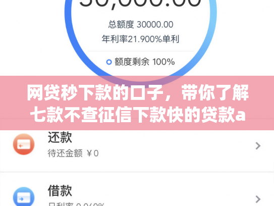 网贷秒下款的口子，带你了解七款不查征信下款快的贷款app