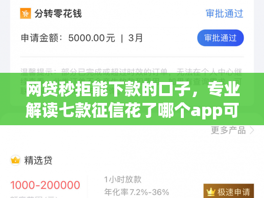 网贷秒拒能下款的口子，专业解读七款征信花了哪个app可以下款
