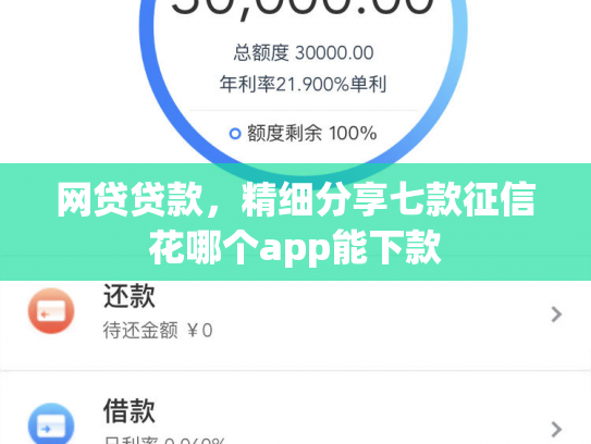 网贷贷款，精细分享七款征信花哪个app能下款