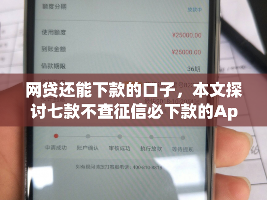 网贷还能下款的口子，本文探讨七款不查征信必下款的App