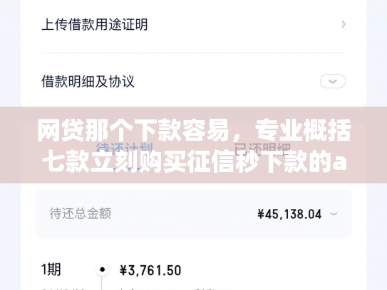 网贷那个下款容易，专业概括七款立刻购买征信秒下款的app