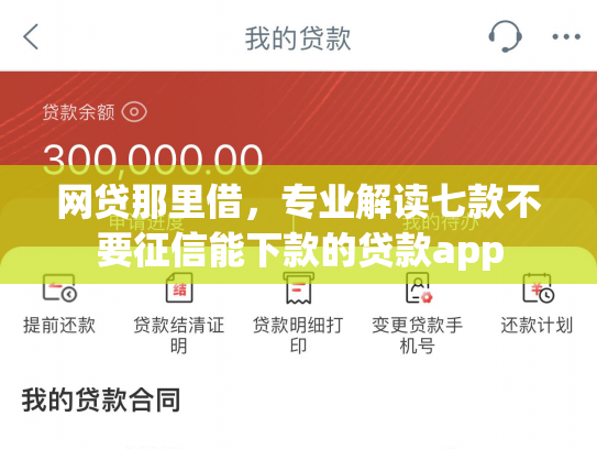 网贷那里借，专业解读七款不要征信能下款的贷款app