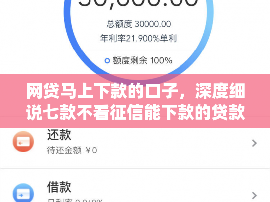 网贷马上下款的口子，深度细说七款不看征信能下款的贷款app
