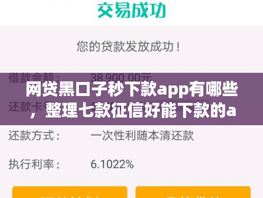 网贷黑口子秒下款app有哪些，整理七款征信好能下款的app