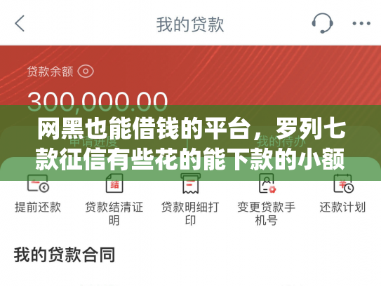 网黑也能借钱的平台，罗列七款征信有些花的能下款的小额app
