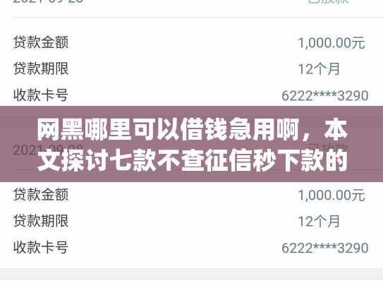 网黑哪里可以借钱急用啊，本文探讨七款不查征信秒下款的网贷app