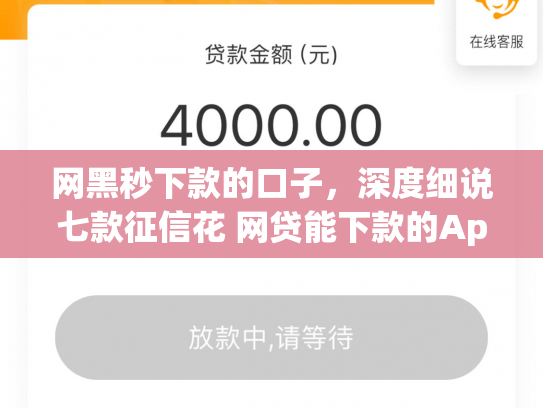 网黑秒下款的口子，深度细说七款征信花 网贷能下款的App