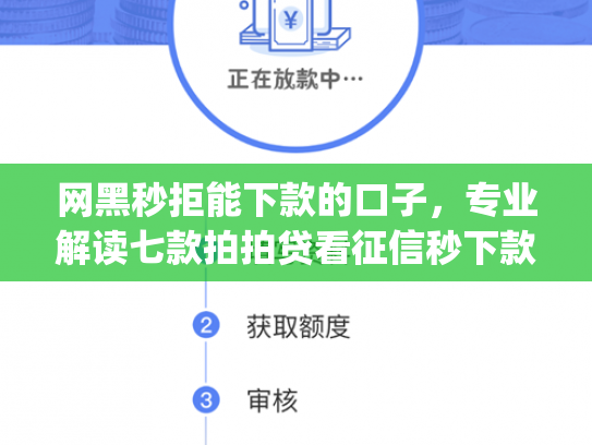 网黑秒拒能下款的口子，专业解读七款拍拍贷看征信秒下款的app
