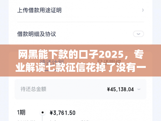 网黑能下款的口子2025，专业解读七款征信花掉了没有一家app下款