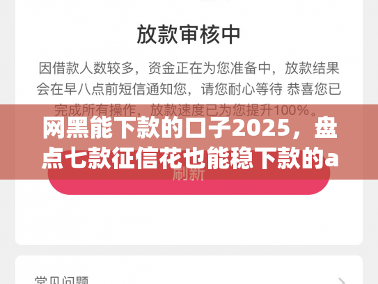 网黑能下款的口子2025，盘点七款征信花也能稳下款的app入口