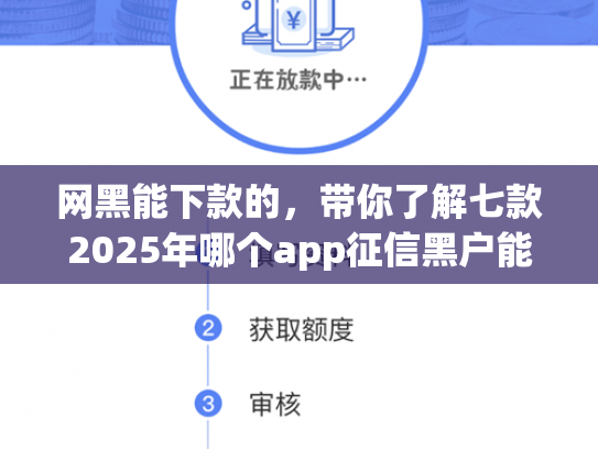 网黑能下款的，带你了解七款2025年哪个app征信黑户能下款