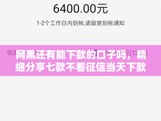 网黑还有能下款的口子吗，精细分享七款不看征信当天下款APP网贷