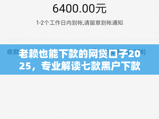 老赖也能下款的网贷口子2025，专业解读七款黑户下款快的贷款软件