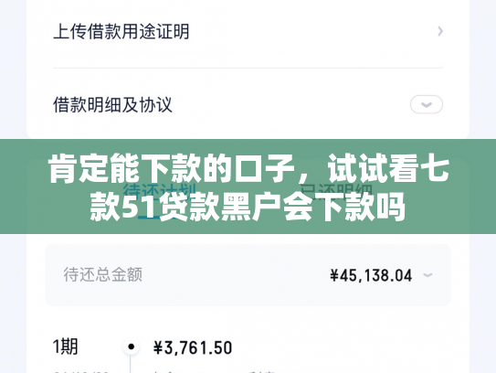 肯定能下款的口子，试试看七款51贷款黑户会下款吗
