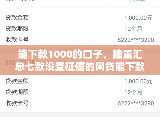 能下款1000的口子，隆重汇总七款没查征信的网贷能下款吗