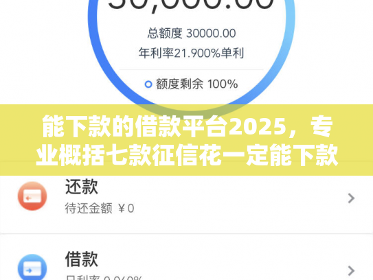 能下款的借款平台2025，专业概括七款征信花一定能下款的网贷