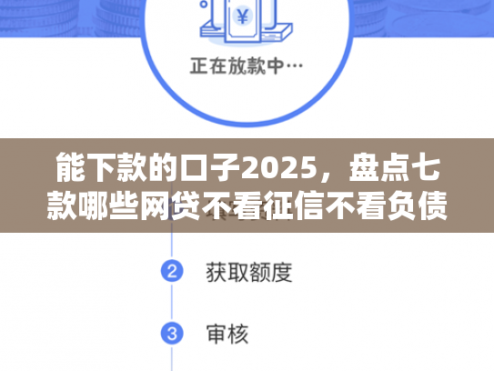 能下款的口子2025，盘点七款哪些网贷不看征信不看负债好下款