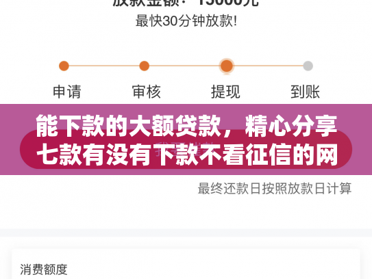 能下款的大额贷款，精心分享七款有没有下款不看征信的网贷平台