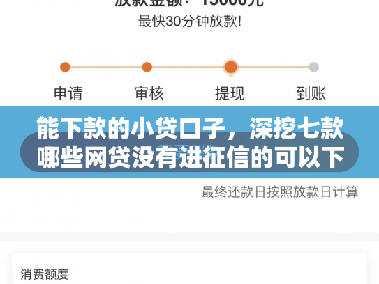 能下款的小贷口子，深挖七款哪些网贷没有进征信的可以下款