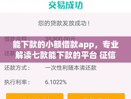 能下款的小额借款app，专业解读七款能下款的平台 征信花了